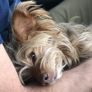 Meet your Posher, Jamie